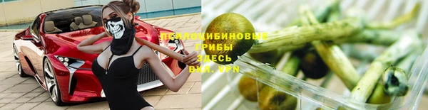 стафф Абинск