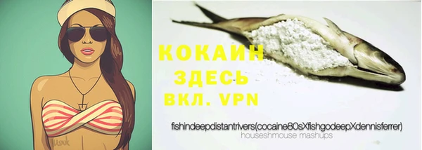 дмт Абаза