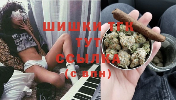 дмт Абаза