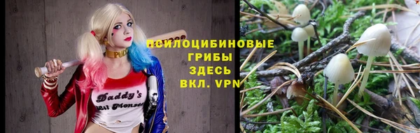 стафф Абинск