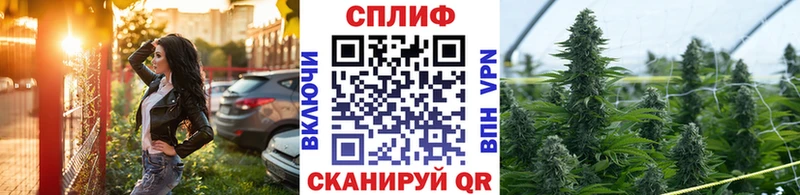 Канабис планчик  Шлиссельбург 